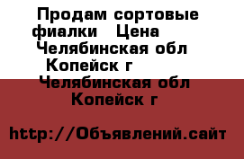 Продам сортовые фиалки › Цена ­ 50 - Челябинская обл., Копейск г.  »    . Челябинская обл.,Копейск г.